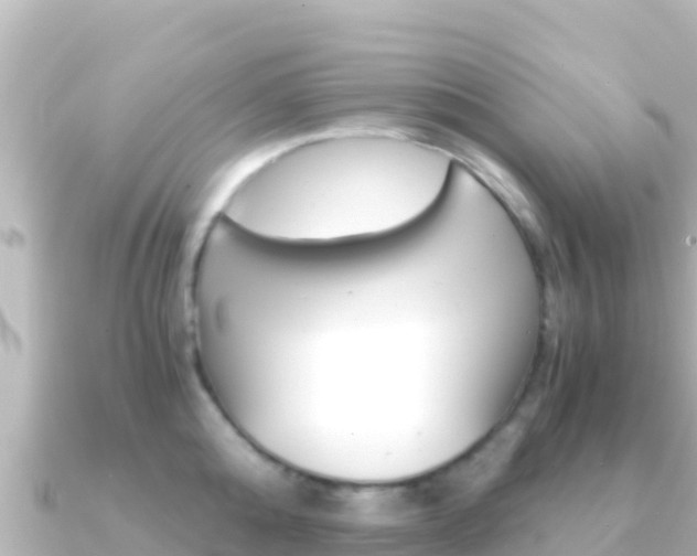 X0000091240808200708091130