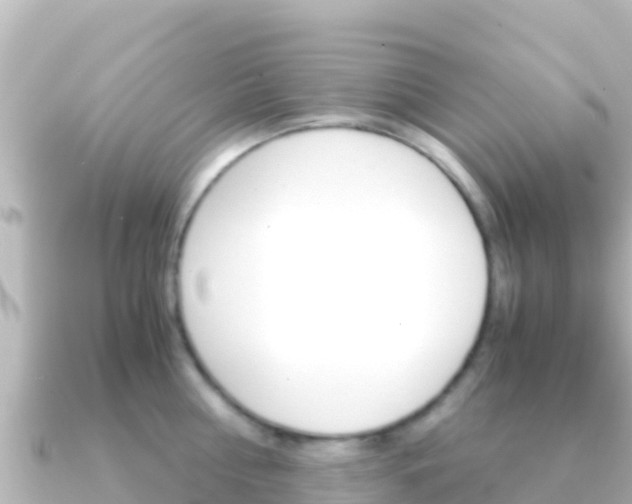 X0000091240810200708091130