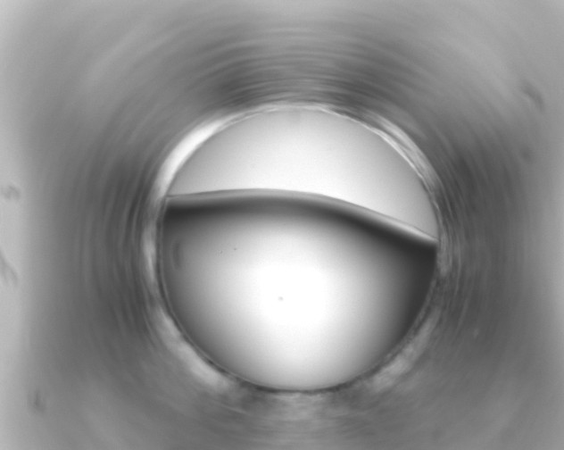X0000091240812200708091130