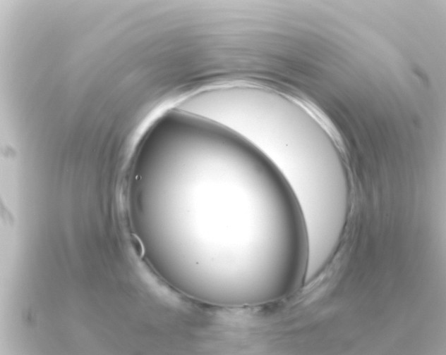 X0000091240813200708091130