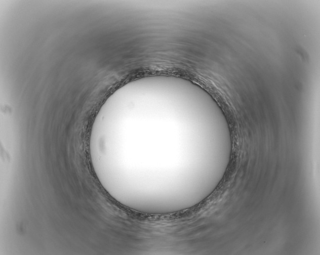 X0000091240817200708091129