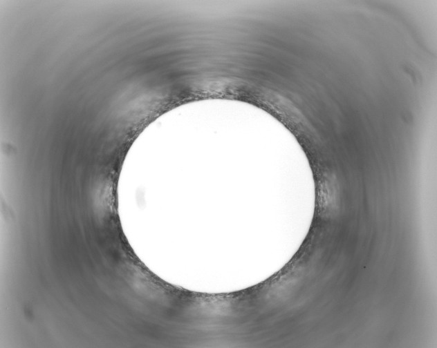 X0000091240820200708091129