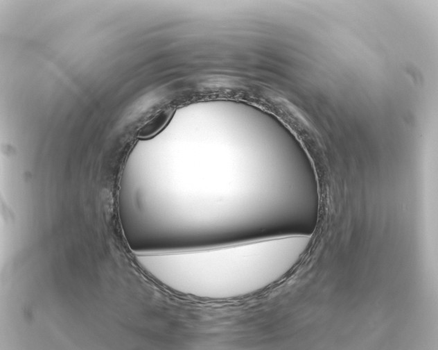 X0000091240821200708091129