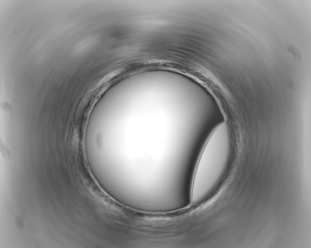 X0000091240825200708091129