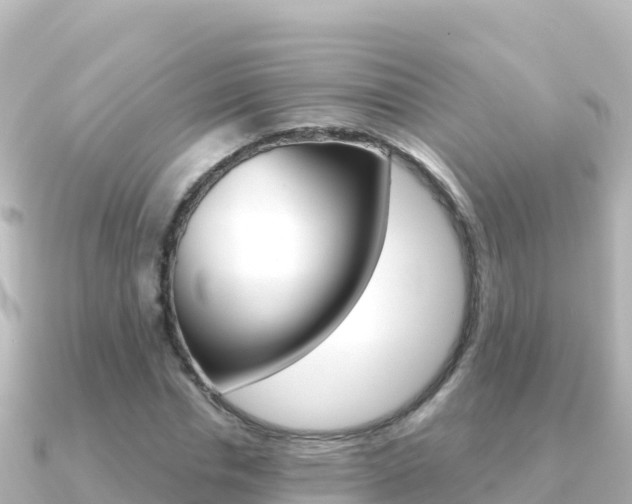X0000091240826200708091129