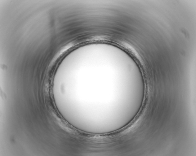 X0000091240827200708091129
