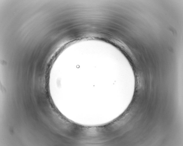 X0000091240828200708091129