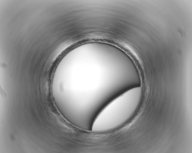 X0000091240829200708091129