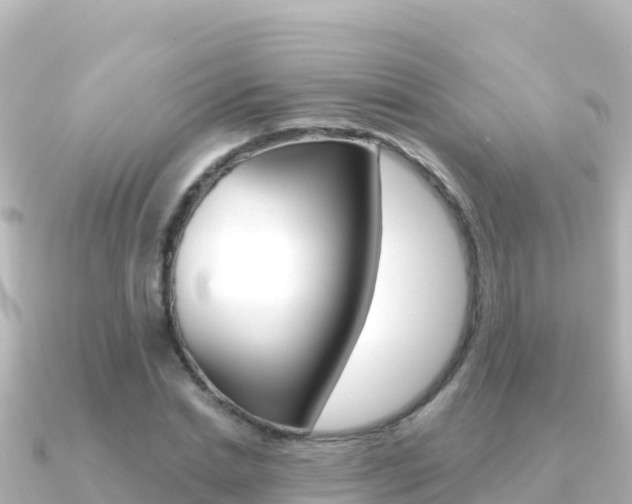 X0000091240830200708091129