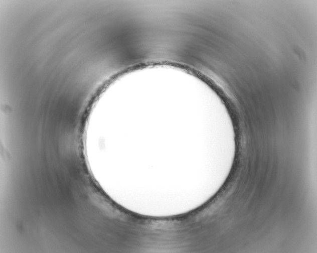X0000091240832200708091129
