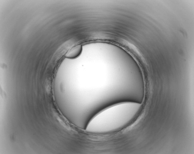 X0000091240833200708091129