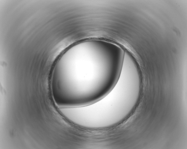 X0000091240834200708091129