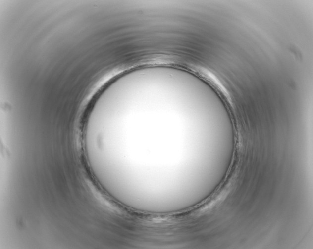 X0000091240835200708091129