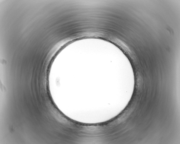 X0000091240836200708091129