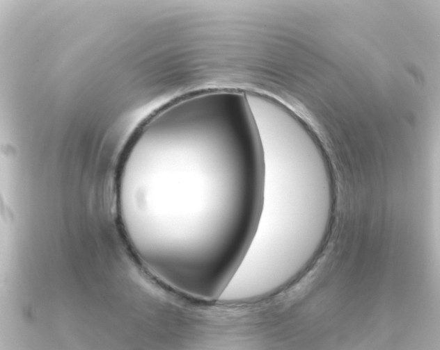 X0000091240838200708091129