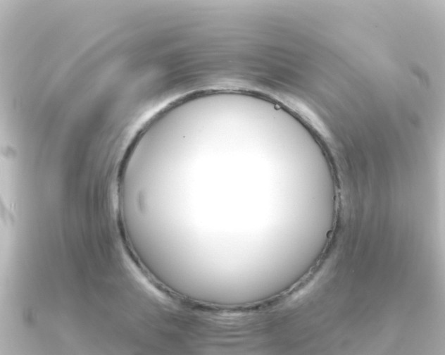 X0000091240839200708091129