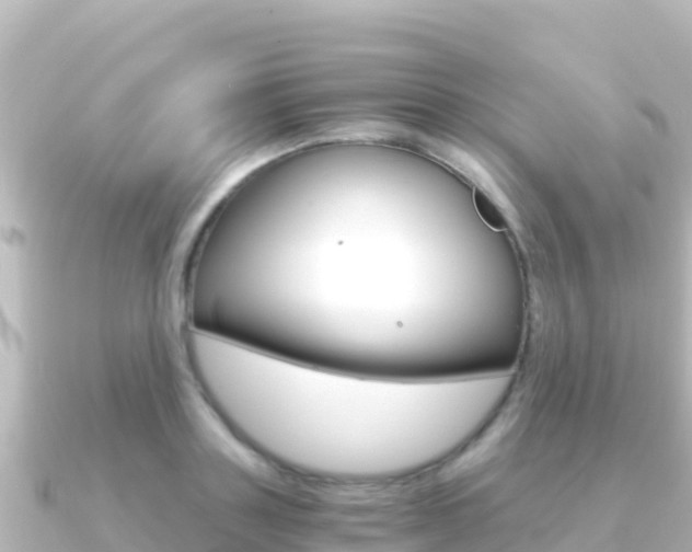 X0000091240843200708091129