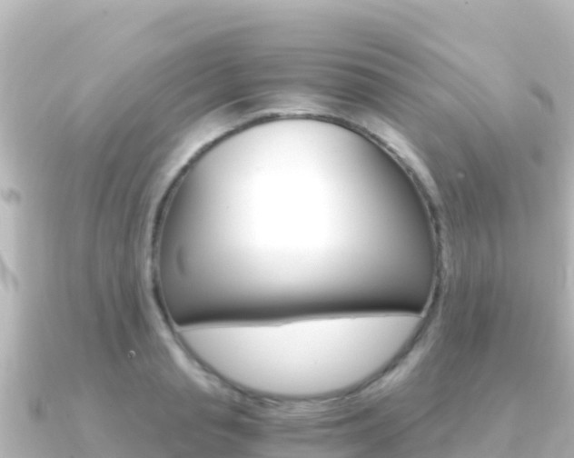 X0000091240845200708091130