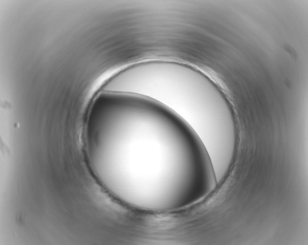 X0000091240846200708091130