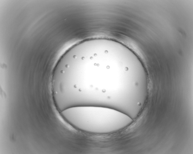X0000091240847200708091130