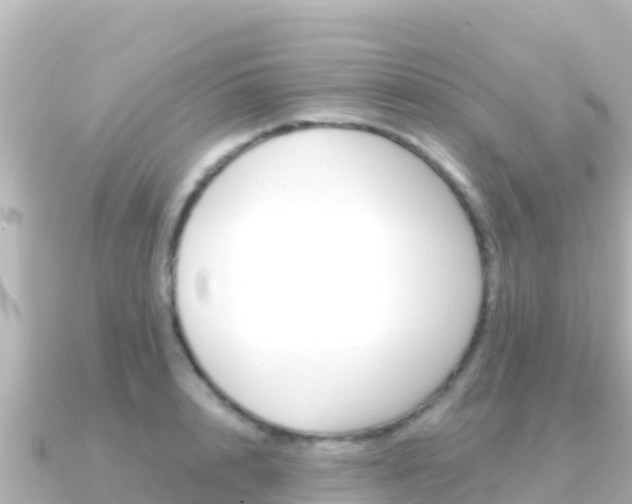 X0000091240848200708091130