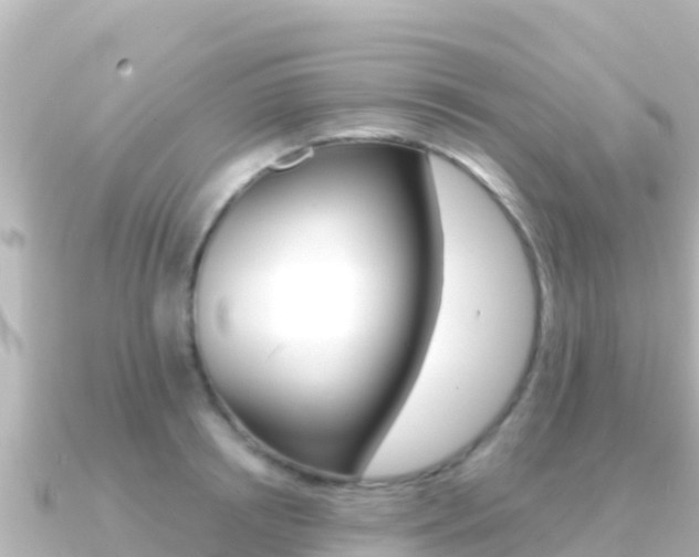 X0000091240850200708091130