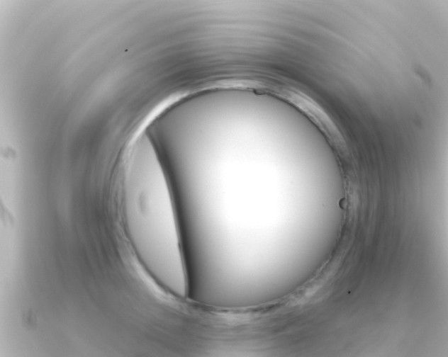 X0000091240852200708091130