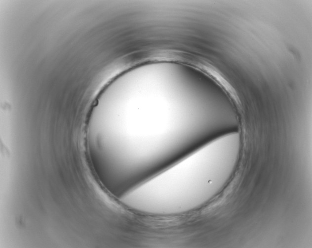 X0000091240853200708091130
