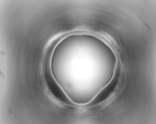 X0000091240854200708091130