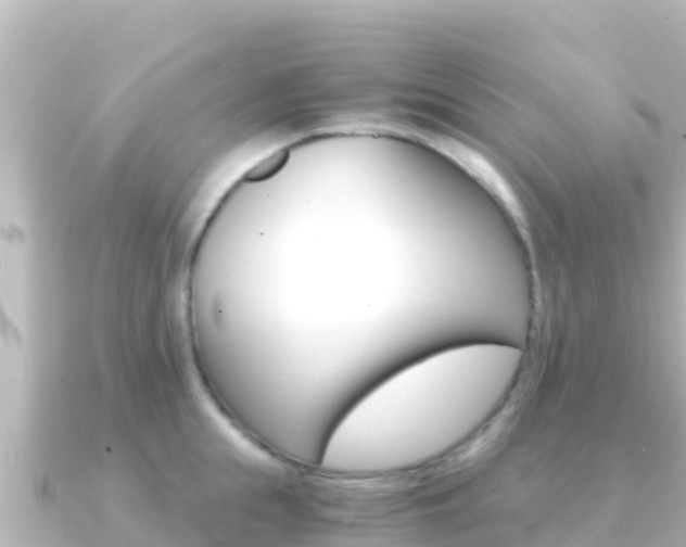 X0000091240855200708091130