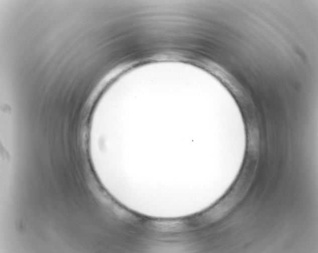 X0000091240856200708091130