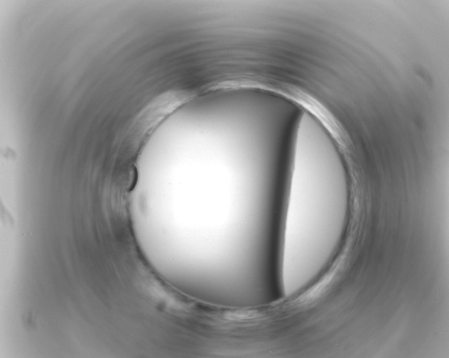 X0000091240857200708091130