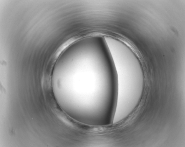X0000091240858200708091130