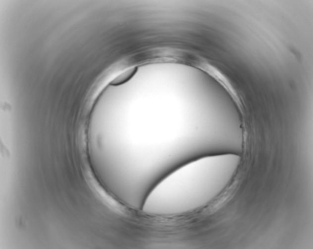 X0000091240859200708091130
