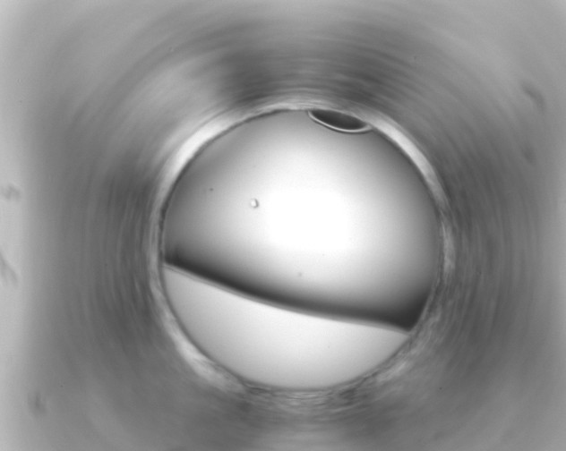 X0000091240861200708091130