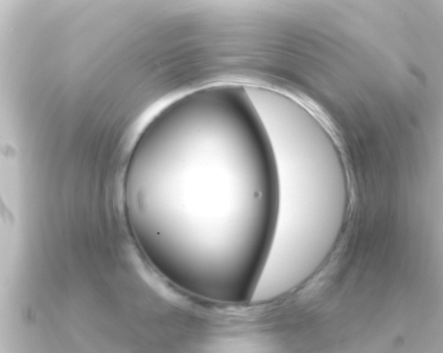 X0000091240862200708091130