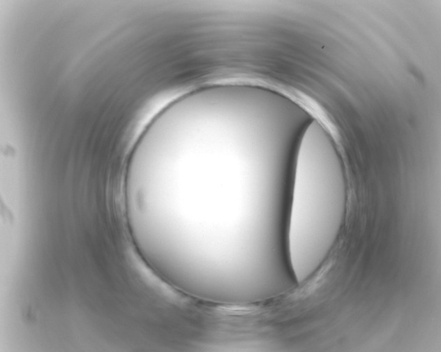 X0000091240863200708091130