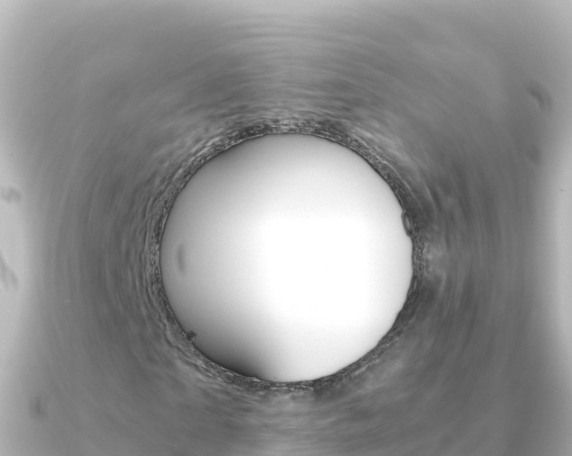 X0000091240865200708091129