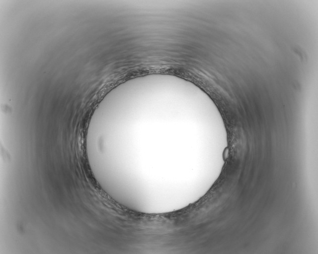 X0000091240866200708091129