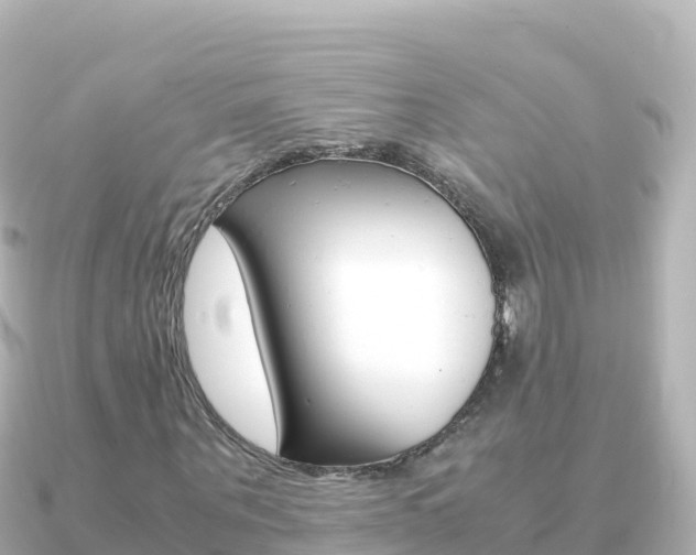 X0000091240867200708091129