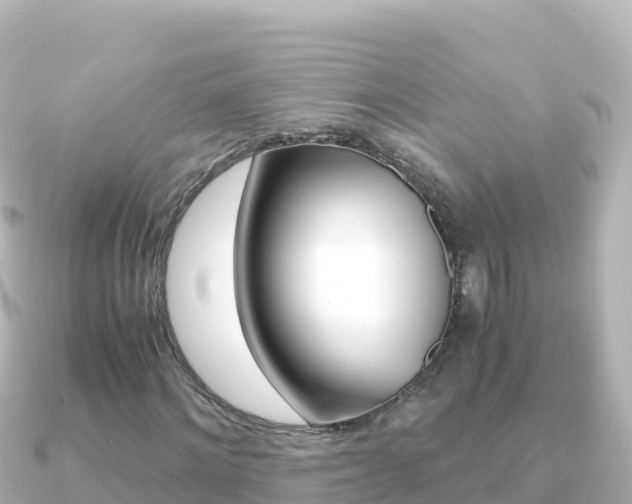 X0000091240868200708091129