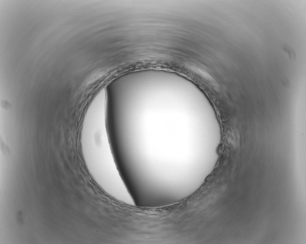 X0000091240869200708091129
