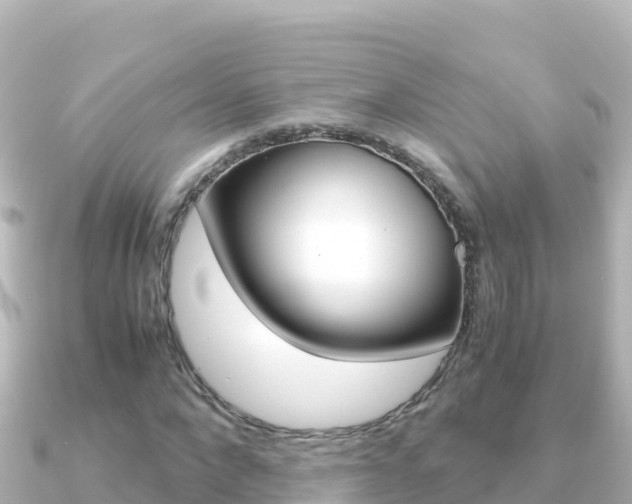 X0000091240872200708091129