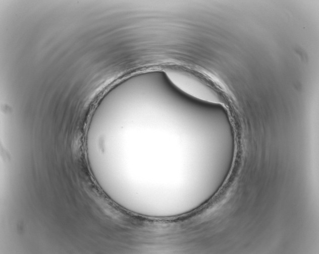 X0000091240873200708091129