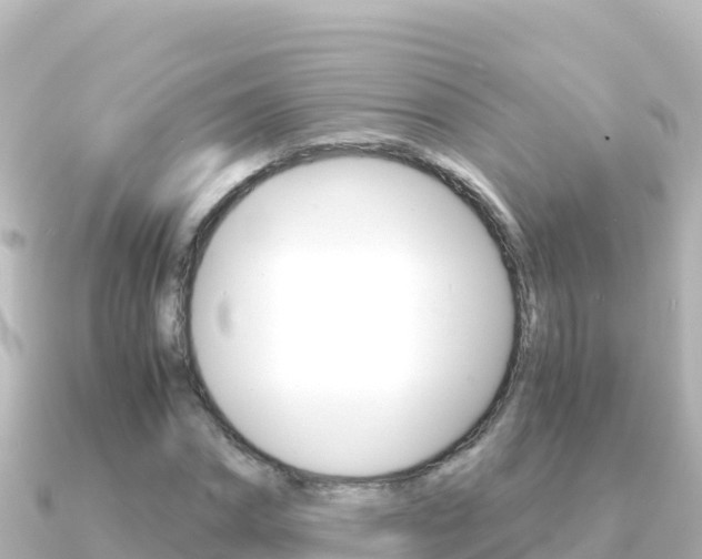 X0000091240874200708091129