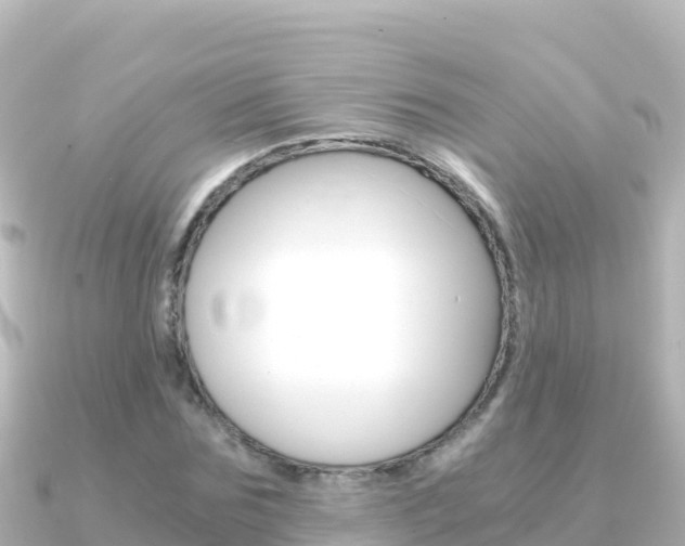 X0000091240875200708091129