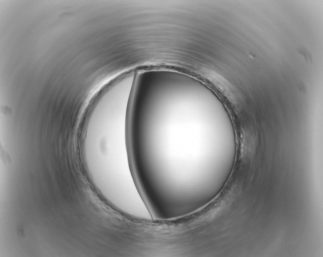 X0000091240876200708091129