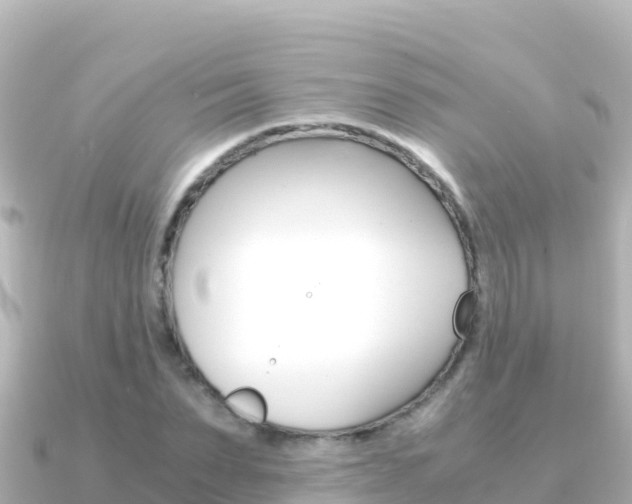 X0000091240879200708091129