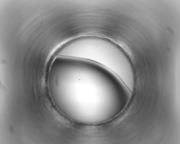 X0000091240880200708091129