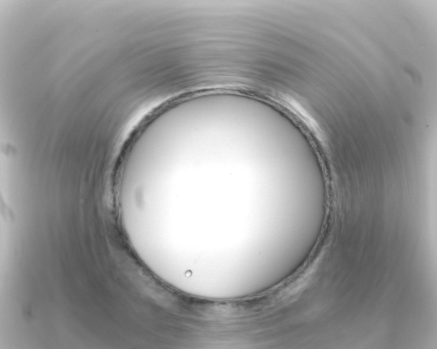 X0000091240883200708091129
